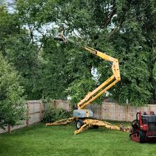 Best Aeration Services  in Loop, PA